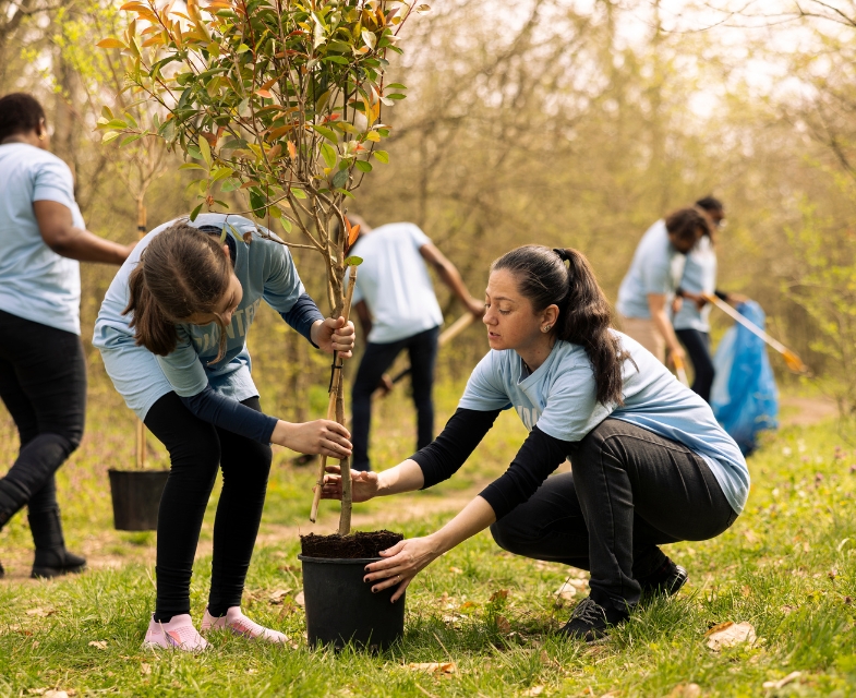 Untitled design (17)